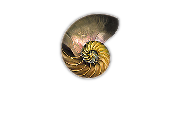 48 Windows